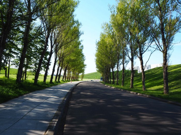 モエレ沼公園