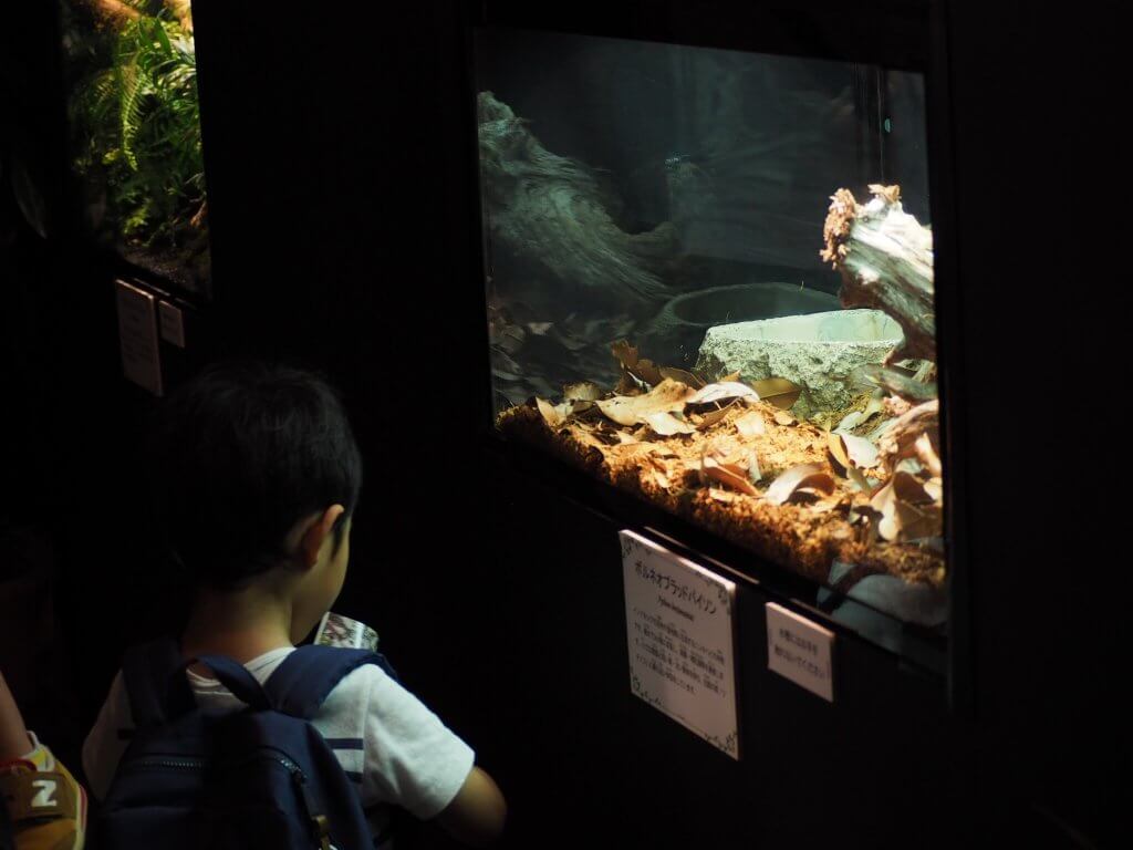 「サワレルハチュウルイ展」イベントブース内の様子