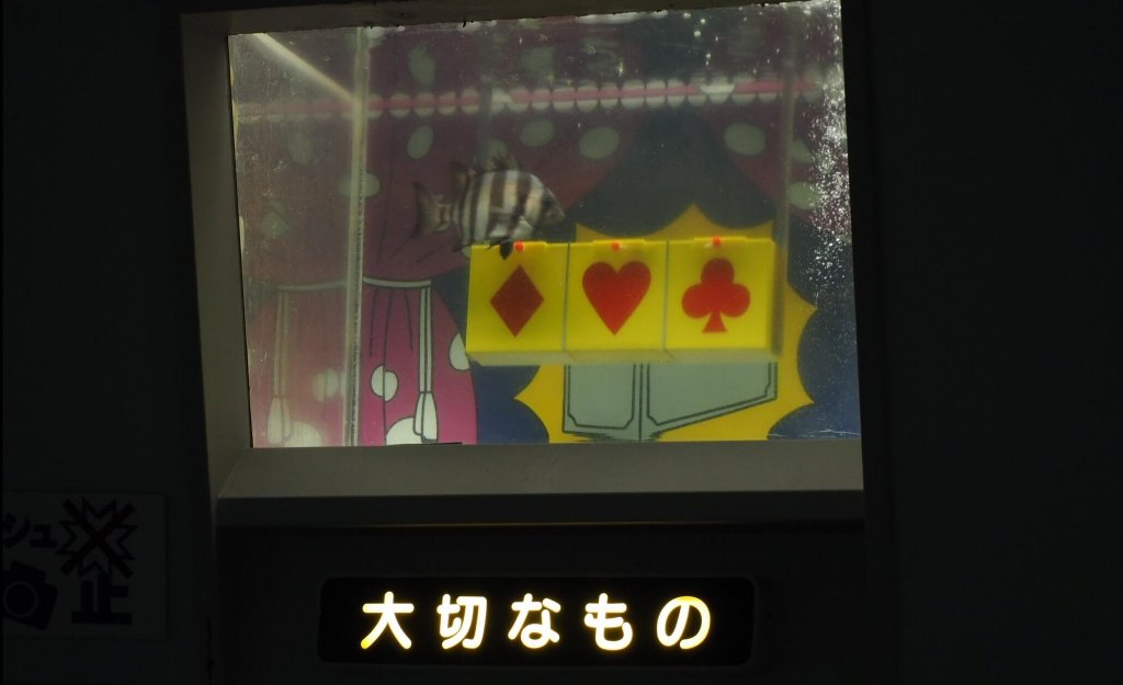 イシダイの大切なもの