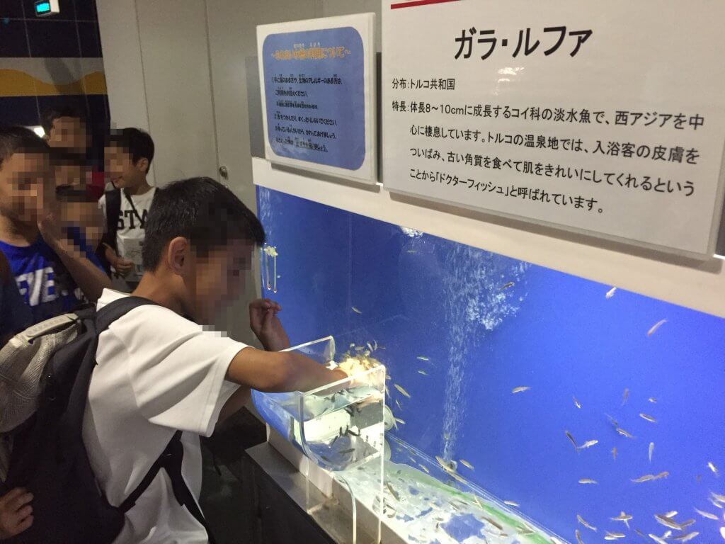 小学生はドクターフィッシュに容赦しない