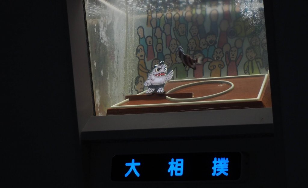 イシダイが押し出しする瞬間
