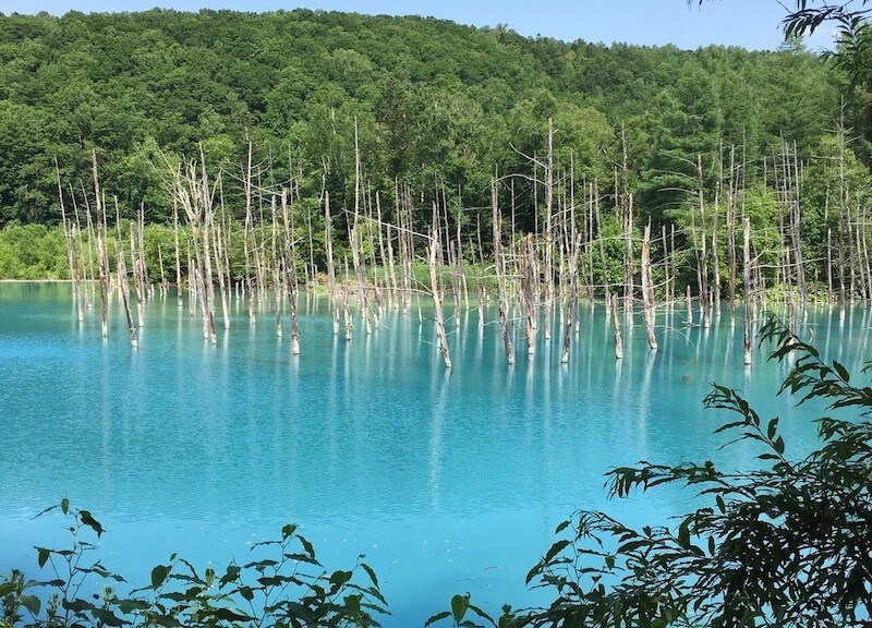 青い池