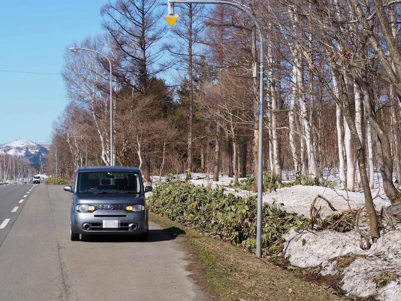 北海道の路肩に落ちてる雪解けのゴミ