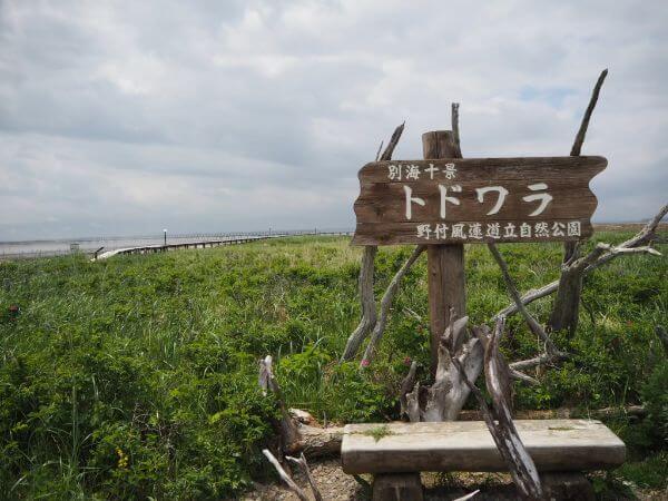 野付半島のトドワラ